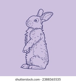vector illustration line art bunny