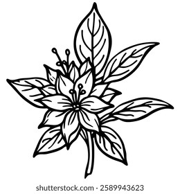 Vector illustration line art  flower 
