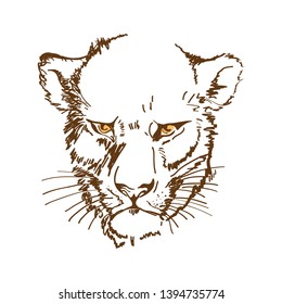 vector illustration of a line art lioness head