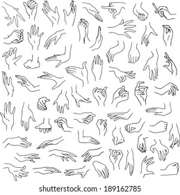 Vector illustration line art pack of woman hands in various gestures. 