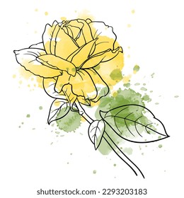 Ilustración vectorial de la flor rosa de la línea de arte en el fondo de la acuarela.