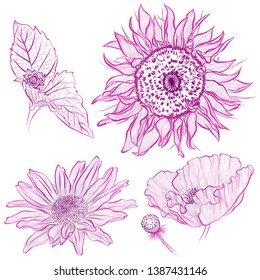 Vector illustration in line art style. Set of flowers of sunflower, rose, poppy isolated on white background. Hand drawn botanical picture