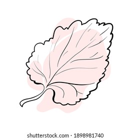 Vector illustration in line art style with a color spot. Stylish and beautiful composition. Tree leaf, natural and sustainable product. Suitable for icons, logos, cards, prints and posters. Also for