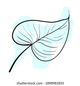 Vector illustration in line art style with a color spot. Stylish and beautiful composition. Tree leaf, natural and sustainable product. Suitable for icons, logos, cards, prints and posters. Also for