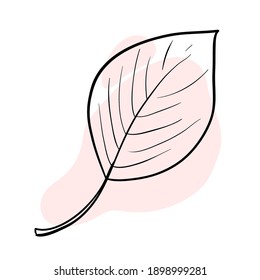Vector illustration in line art style with a color spot. Stylish and beautiful composition. Tree leaf, natural and sustainable product. Suitable for icons, logos, cards, prints and posters. Also for