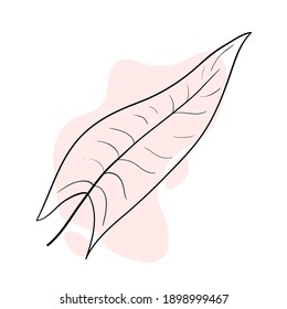 Vector illustration in line art style with a color spot. Stylish and beautiful composition. Tree leaf, natural and sustainable product. Suitable for icons, logos, cards, prints and posters. Also for