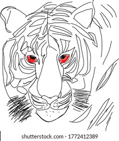 Vector illustration of line art tiger image