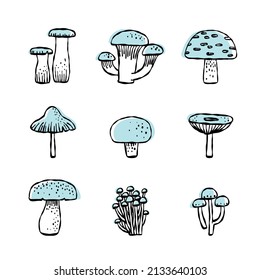 vector illustration line draw mushroom