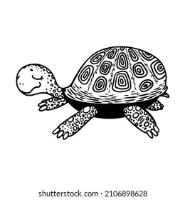 vector illustration line drawing big cute turtle with closed eyes. Black and white graphics, turtle. 