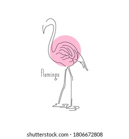 vector illustration line drawing bird flamingo on white background. Linear sketch.