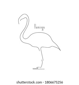 vector illustration line drawing bird flamingo on white background. Linear sketch.