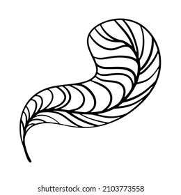 Vector illustration
   line drawing doodle curved feather
logo emblem simple stylized illustration 