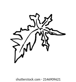 Ilustración vectorial de una línea de una hoja de papaya