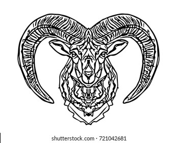 vector illustration line ram animal  head