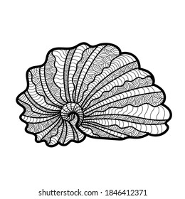 ilustración vectorial línea de concha marina para colorear sobre un fondo blanco. Hermosa cáscara ornamental de zentángulo dibujada por línea