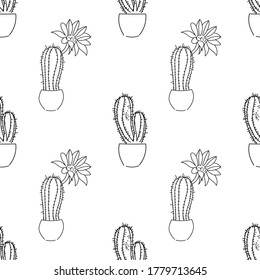 vector illustration line sketch seamless pattern with cactus on a white background