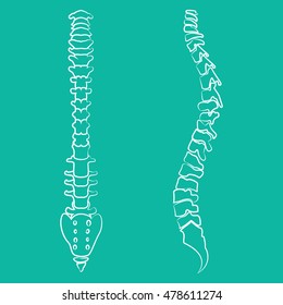 22,478 Spine line Images, Stock Photos & Vectors | Shutterstock