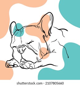 vector illustration line spot bulldog sleeping animal abstraction