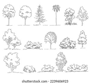 Vector illustration of line tree written with paths perfect for architectural design and presentation