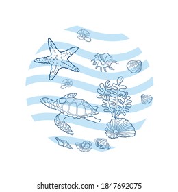 vector illustration with line turtles, starfish, shells, seaweed on a circle background with blue stripes
