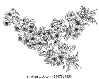 Ilustración vectorial de una rama lineal en flor de cerezo en estilo grabado