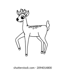 vector illustration linear drawing animal doodle little deer 