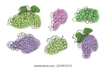 Vector illustration linear drawing with a color flat spot set of doodles black and white bunch of grapes .isolated on a white background.