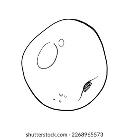 ilustración vectorial dibujo lineal doodle manzana en blanco y negro