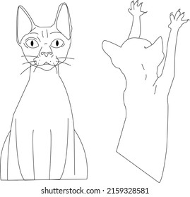 Vector illustration of a linear drawing of a sphinx cat. the cat sharpens its claws. The linear pattern template is suitable for a coloring book page. The print is isolated on a white background. a si