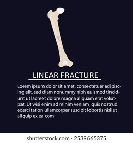 vector illustration of linear fracture