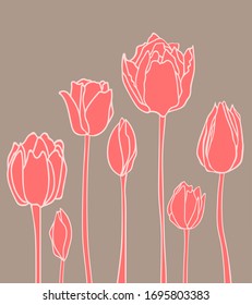 Ilustración vectorial con tulipanes rosados lineales aislados en fondo gris. Doodle, estilo dibujado a mano. Flores gráficas. Concepto de jardín de primavera. Arte botánico para tarjeta de felicitación de boda, postal, afiche de verano.
