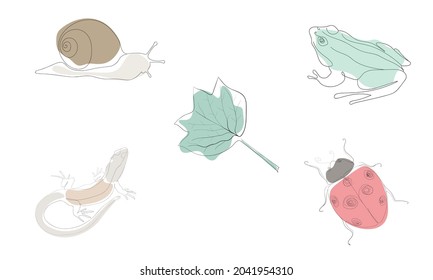 Vector illustration in a linear style. Abstract illustration with animals and plants - frog, lizard, ladybug, snail and leaf. Vector pictures for design. 