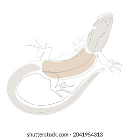 Vector illustration in a linear style. Abstract illustration with animals and plants -  lizard. Vector pictures for design. 