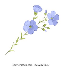 Vector illustration linen flowers. Isolated white background. Individual elements drawn flax.