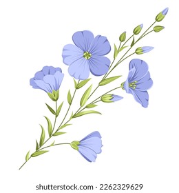 Vector illustration linen flowers. Isolated white background. Individual elements drawn flax.