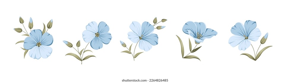 Vector illustration linen flowers. Isolated white background. Individual elements drawn flax.