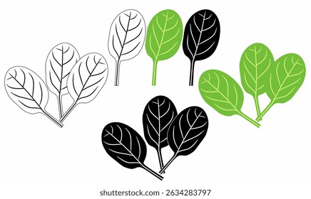 Vector illustration line,silhouette of spinach leaf variations in outline, black, and green fill. Great for icon,logo,symbol eco design, natural food, labels, decor. 