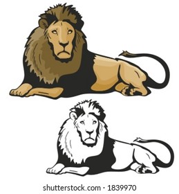 Vector illustration of a lion.