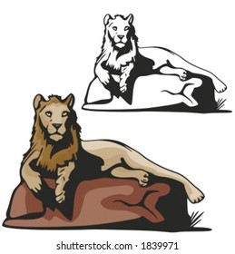 Vector illustration of a lion.