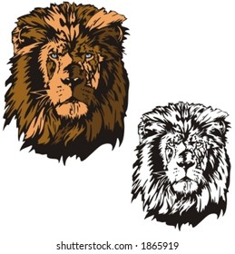 Vector illustration of a lion.