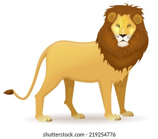 vector illustration of a lion