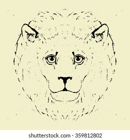 Vector illustration of a Lion head.
