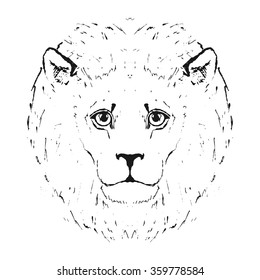 Vector illustration of a Lion head. Isolated on a white background.
