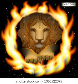 Vector illustration of a lion jumping from darkness into a ring of fire, a large dangerous predator ready to attack, danger a large cat looking straight