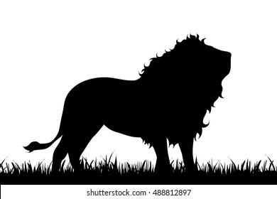 Vector illustration of a lion on white background.