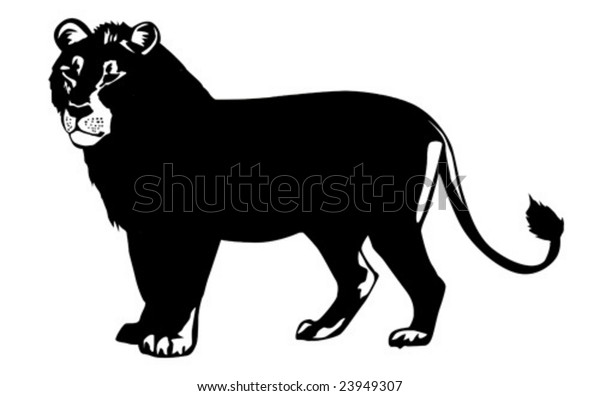 vector illustration lion on white background.