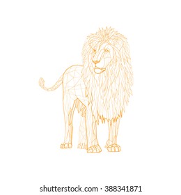 Vector illustration. The lion in outline low poly geometric style on the white background.