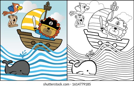 Vector illustration of lion in pirate costume on sailboat, pirate elements cartoon, coloring book or page
