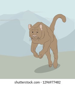 vector illustration of a lioness on nature, vector, nature