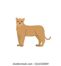 Vector illustration of lioness on a white background. Big cat.